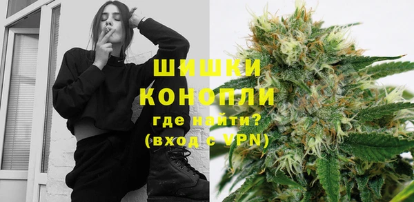 трава Бородино