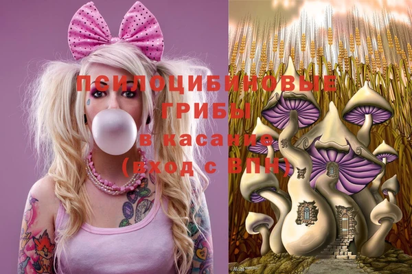трава Бородино