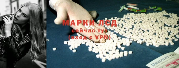 молекула духа Богданович