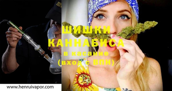 трава Бородино